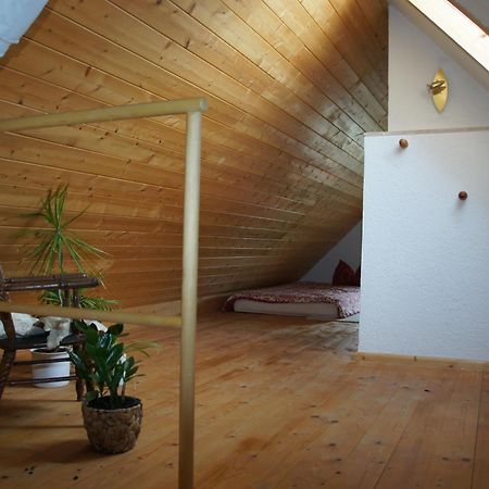 Schwalbennest Kaisitz Apartman Kültér fotó