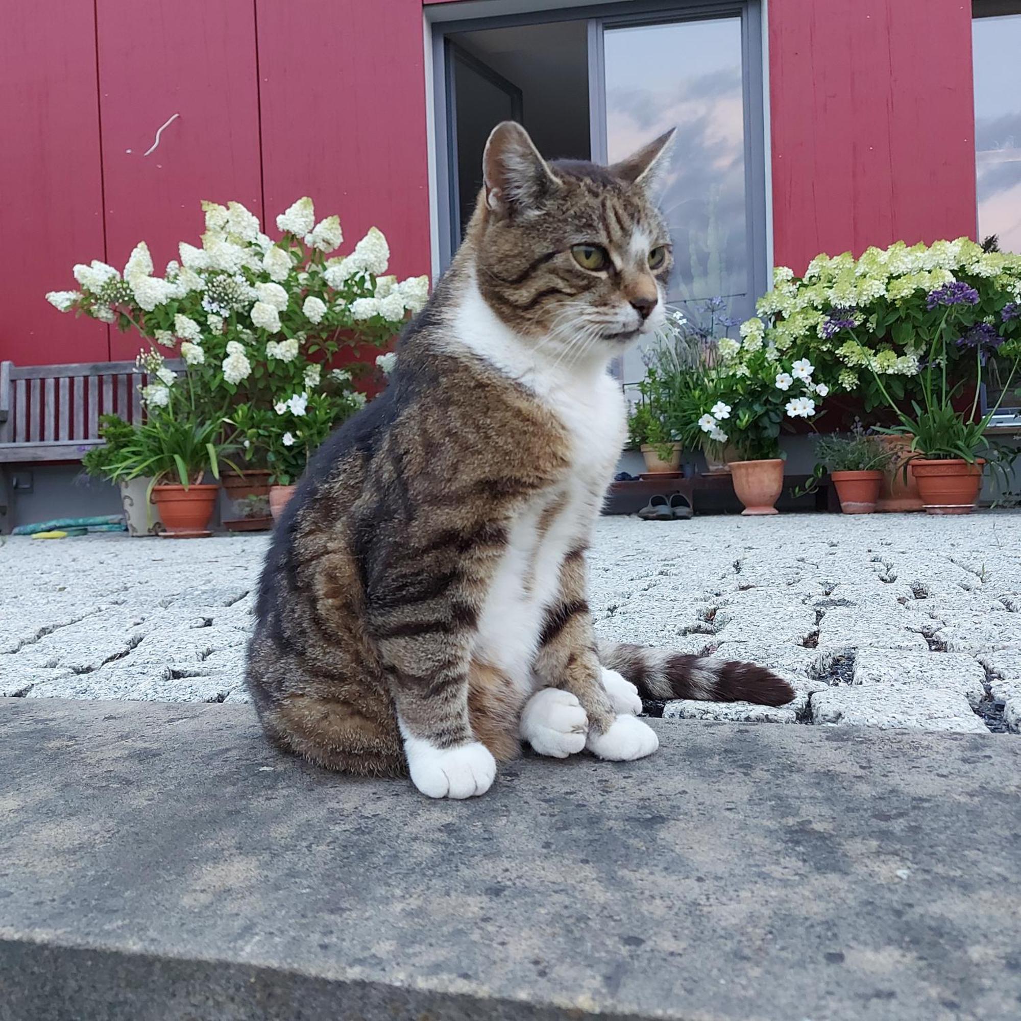 Schwalbennest Kaisitz Apartman Kültér fotó