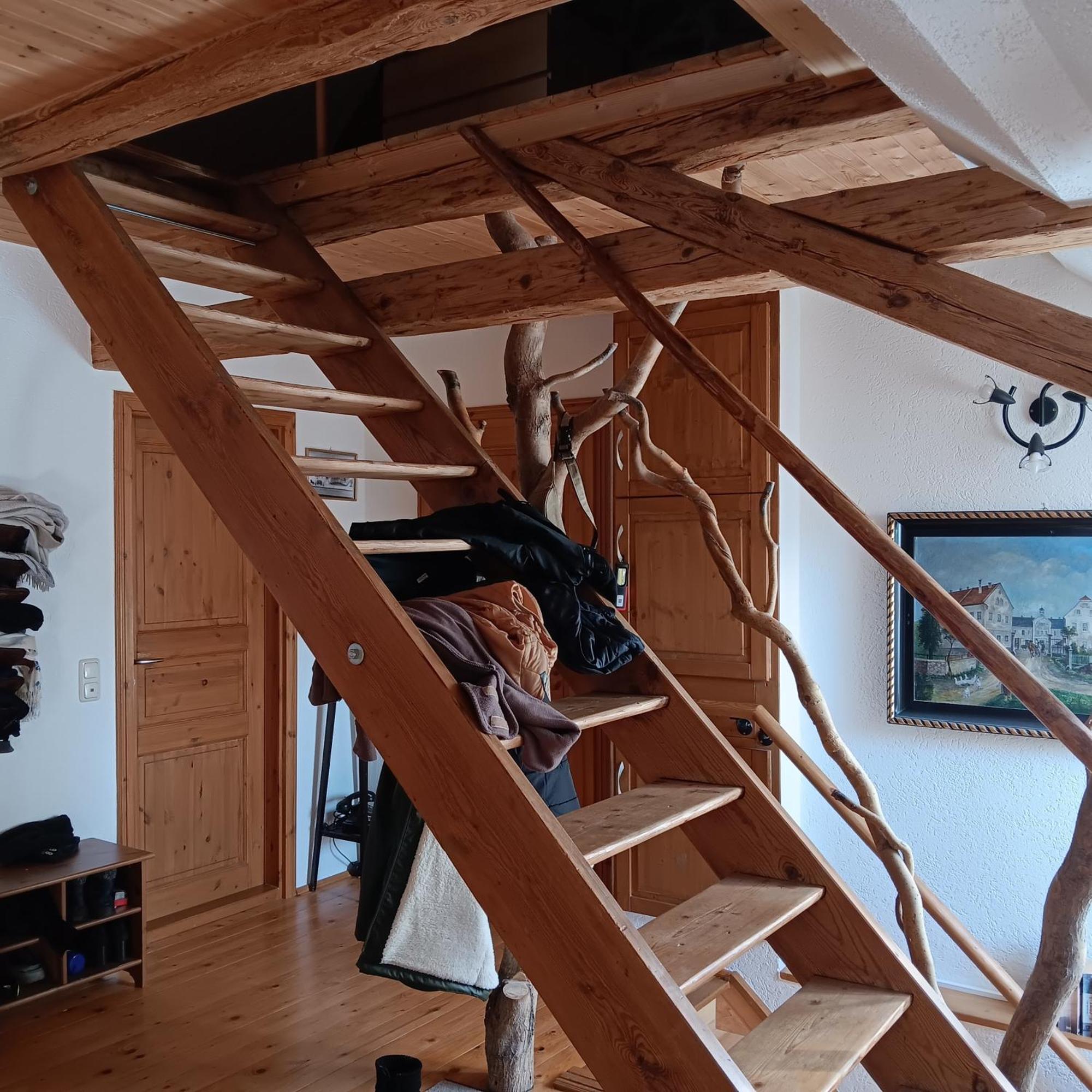 Schwalbennest Kaisitz Apartman Kültér fotó