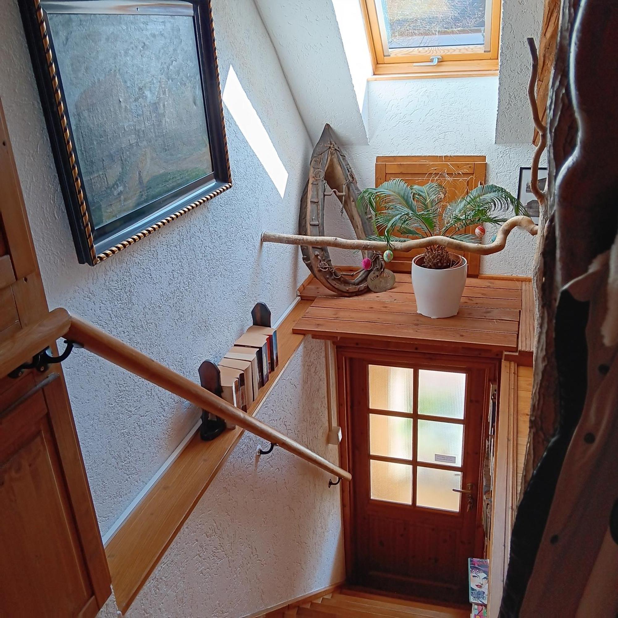 Schwalbennest Kaisitz Apartman Kültér fotó